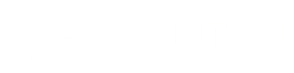 AnySolution